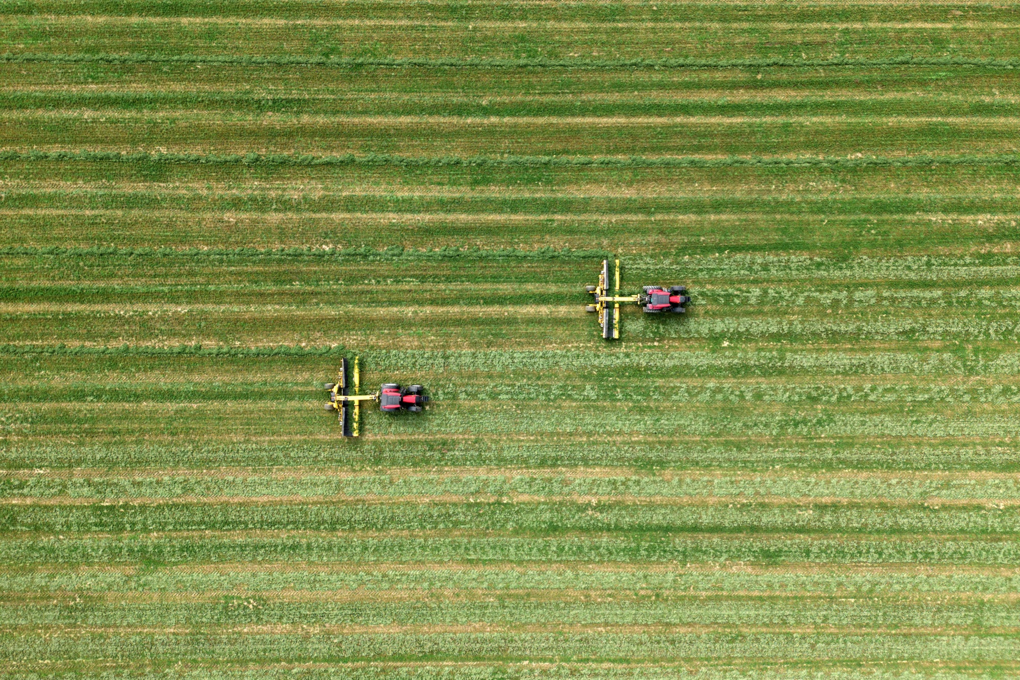 Harvesting of Soya, Corn And Alfalfa at an Al Dahra Agricultural Co. Farm