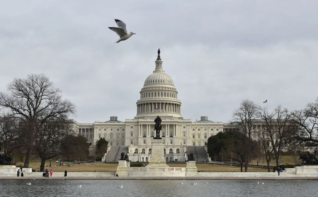 Congressional stock trading is for the birds!