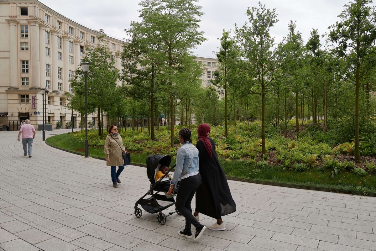 Paris Aims to Replace Parking with Trees by 2030