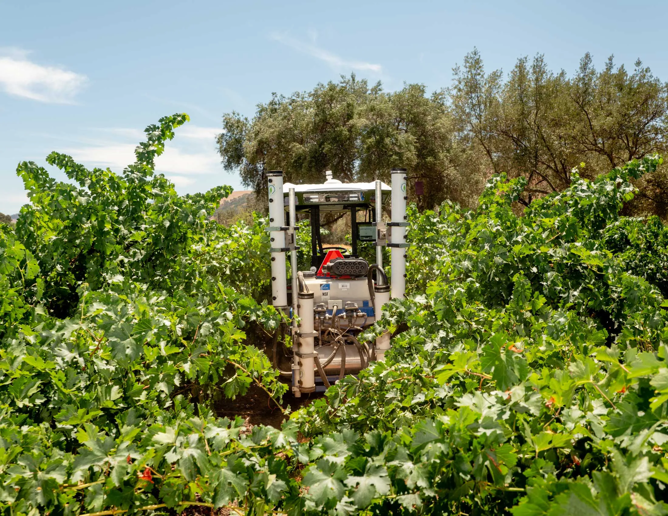 Monarch Tractor vineyard test site in Livermore, CA.