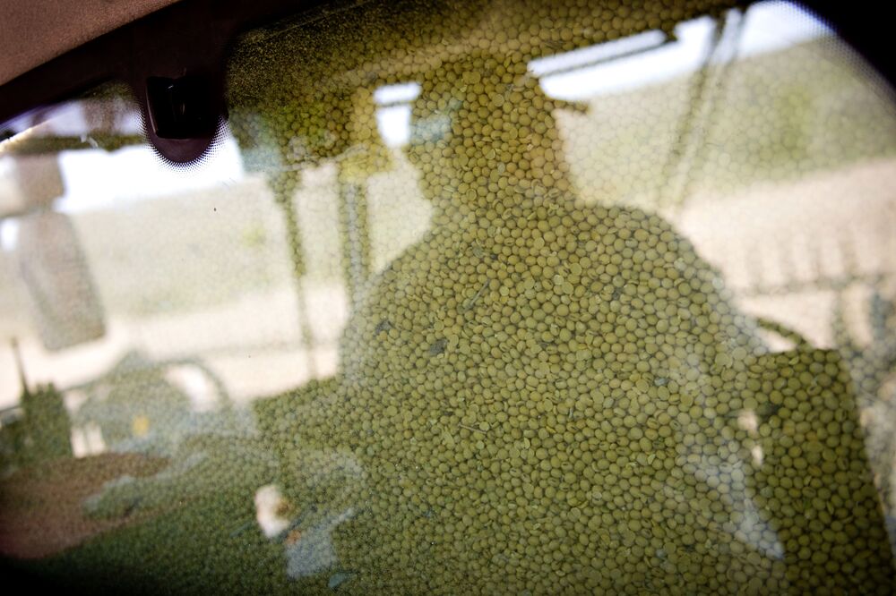 Un agricultor se refleja en una ventana durante una cosecha de soja en Walnut, Illinois.
