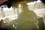 A farmer is reflected in a window&nbsp;during a&nbsp;soybean harvest&nbsp;in Walnut, Illinois.
