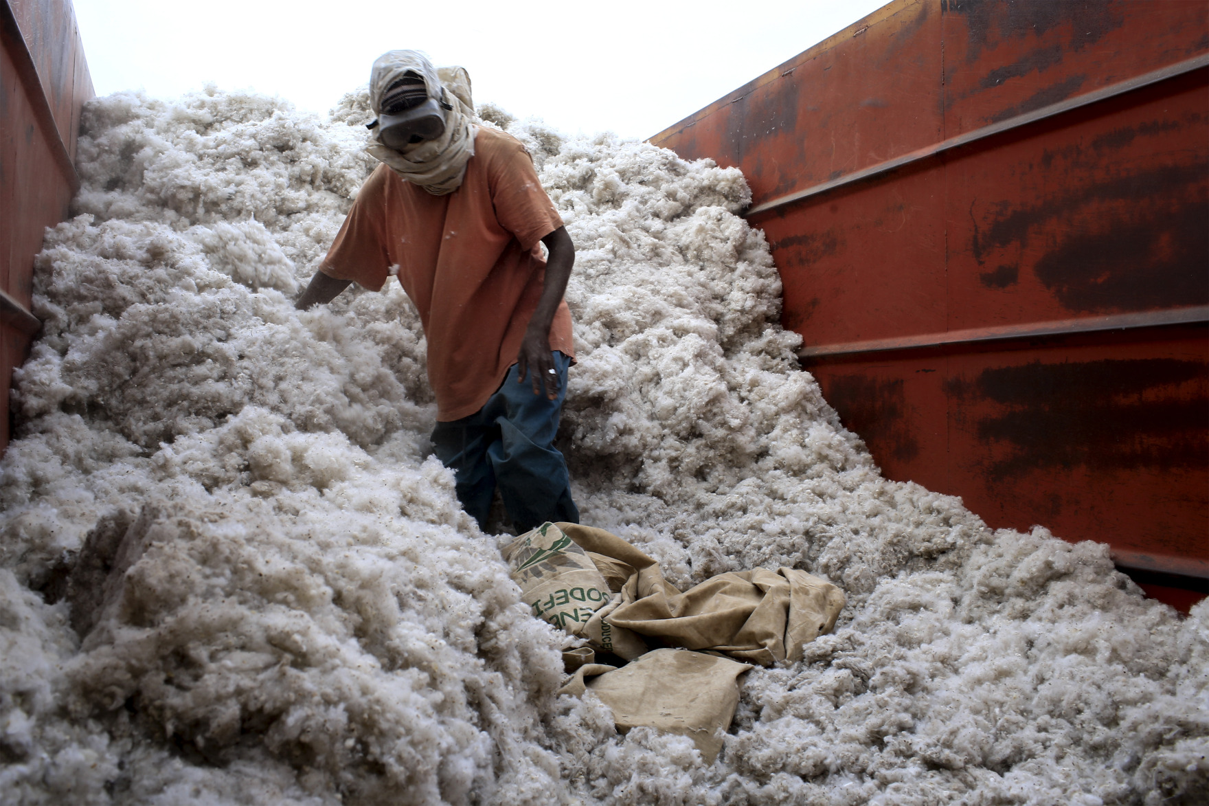 Nigeria Approves Two GMO Cotton Varieties to Increase Output - Bloomberg