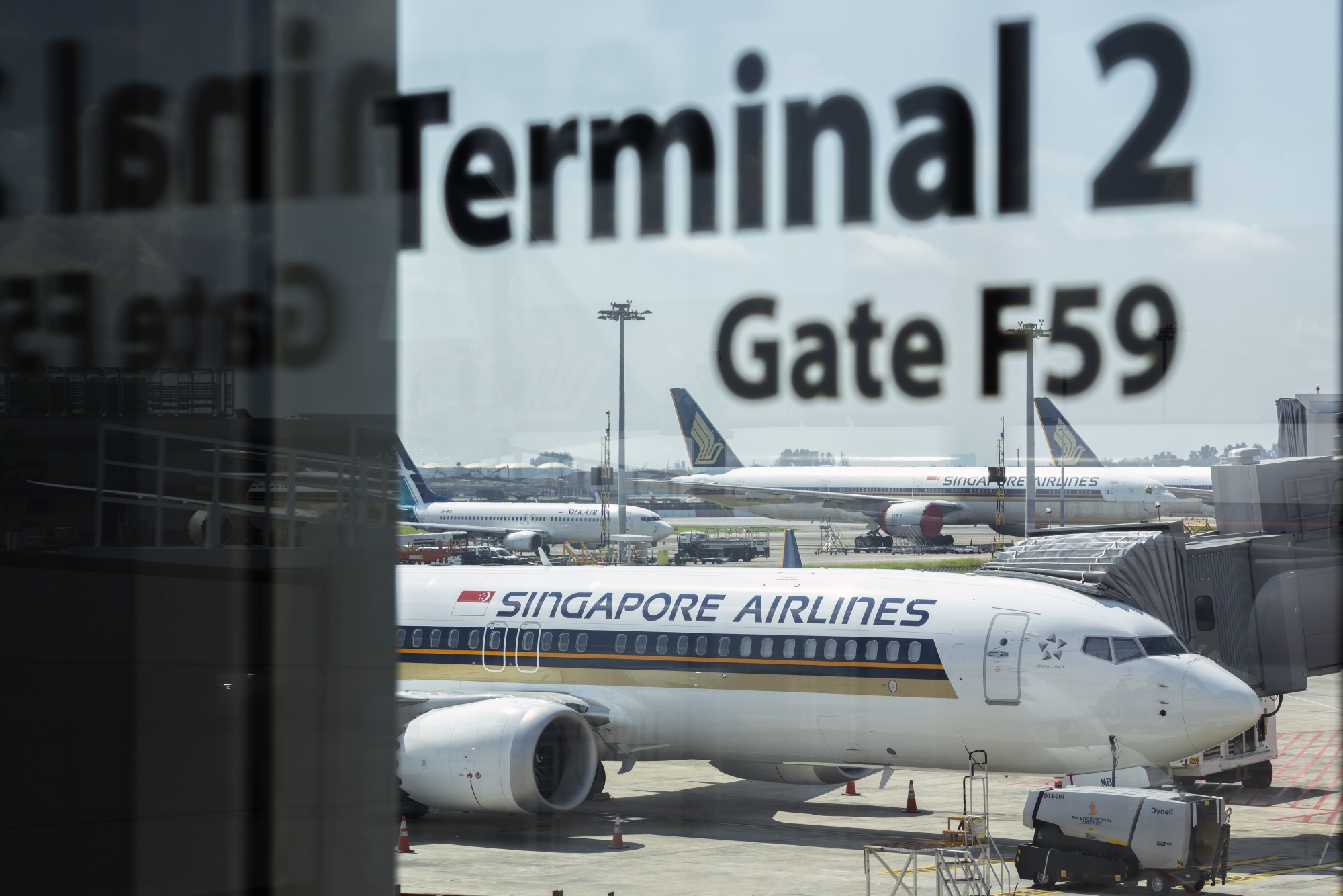 Singapore airport working with airlines to avoid travel chaos as demand  returns