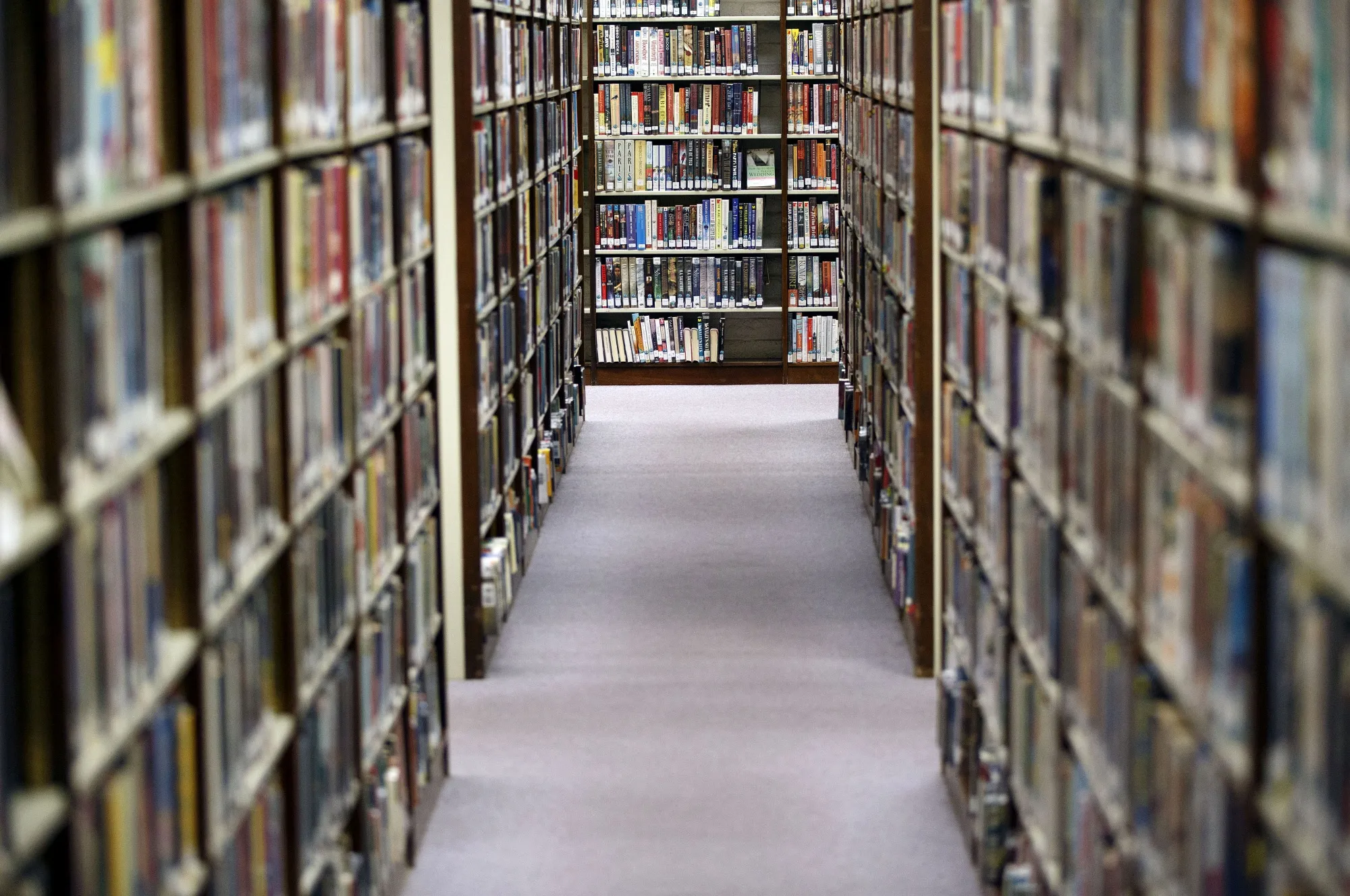 Libraries have filled crucial gaps during the pandemic.&nbsp;