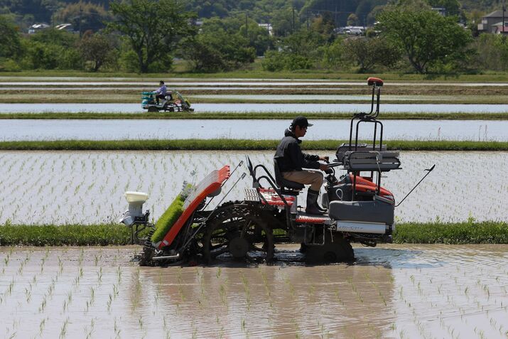 CROP____Rice Planting in Japan Amid Price Increase of the Domestic Grain