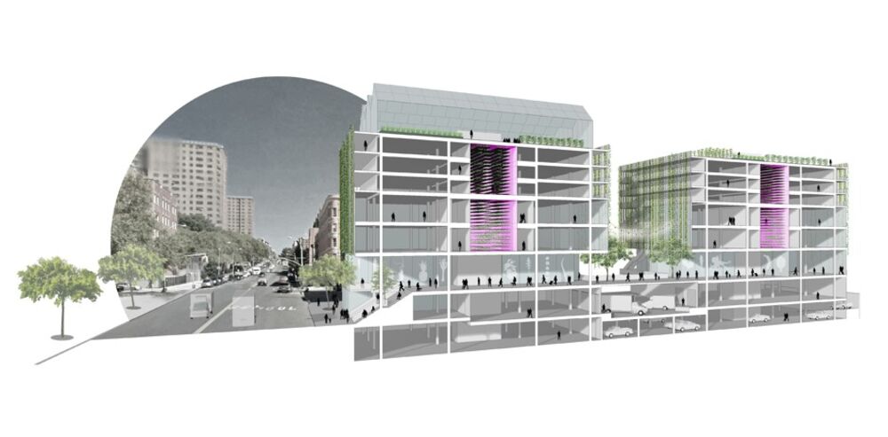 The Institute For Public Architecture Challenged Architects To Imagine Affordable Live Work Spaces For New York City Bloomberg
