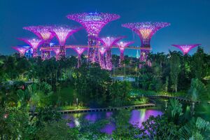 Singapore, Marina Bay, Garden By the bay, botanic garden, Supertree Grove