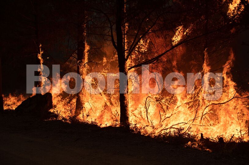 California's Mosquito Fire Threatens Mountain Communities