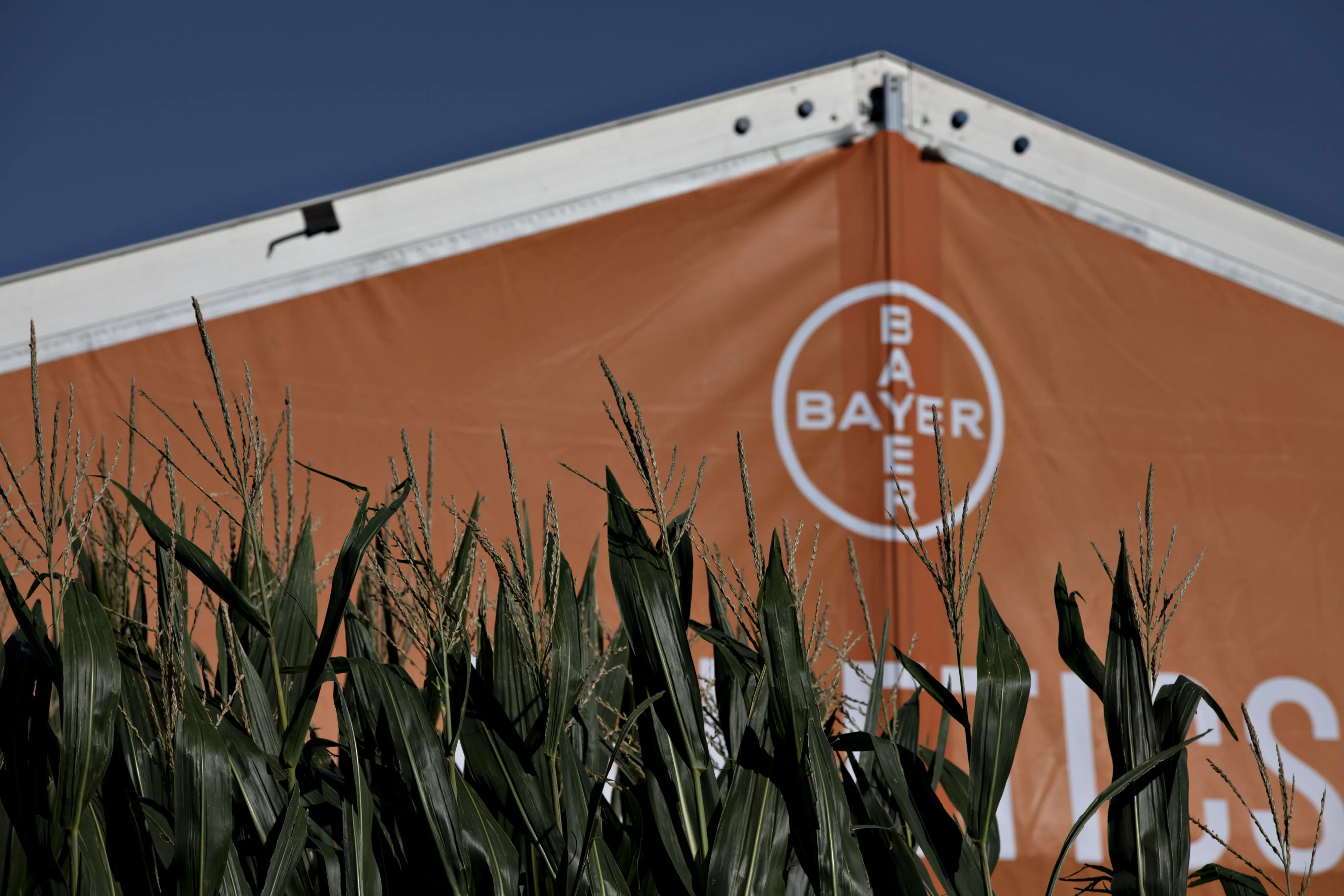 Bayer’s crop science division saw higher demand and prices for corn seeds.