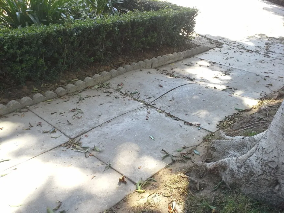 The Sidewalk of the Future Is Not So Concrete - Bloomberg