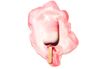 Wall Street’s Great Ice Cream Buyout