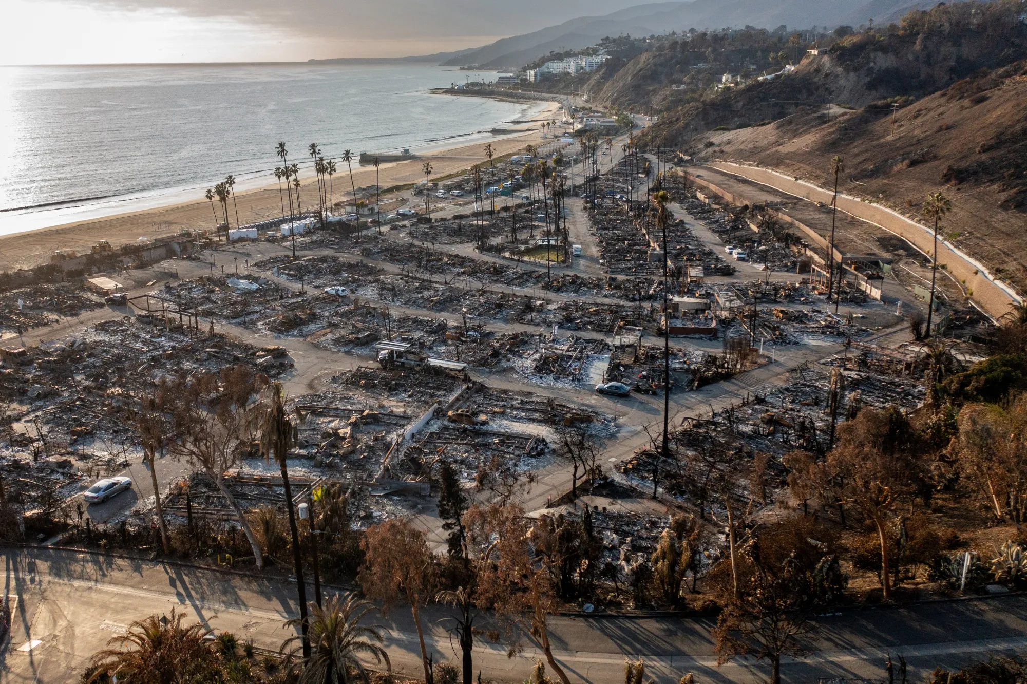 Destroyed homes after the Palisades Fire in Los Angeles, California on Jan. 30.