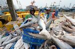 Fishermen arrange freshly caught fish on a fishing boat at the Muara Angke port in Jakarta.
