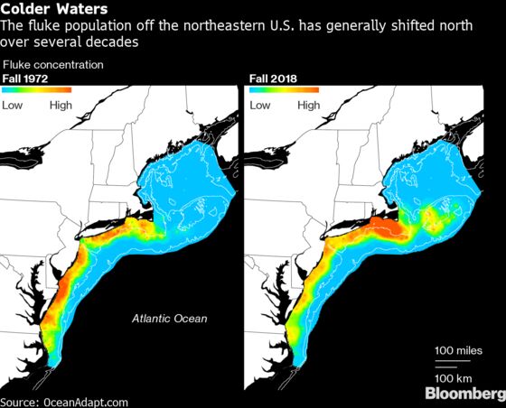 Climate Change Is Reshaping Atlantic Fisheries and Sending This Fluke Fight to Court