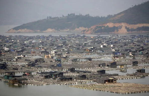 Too many fish farms in the sea.
