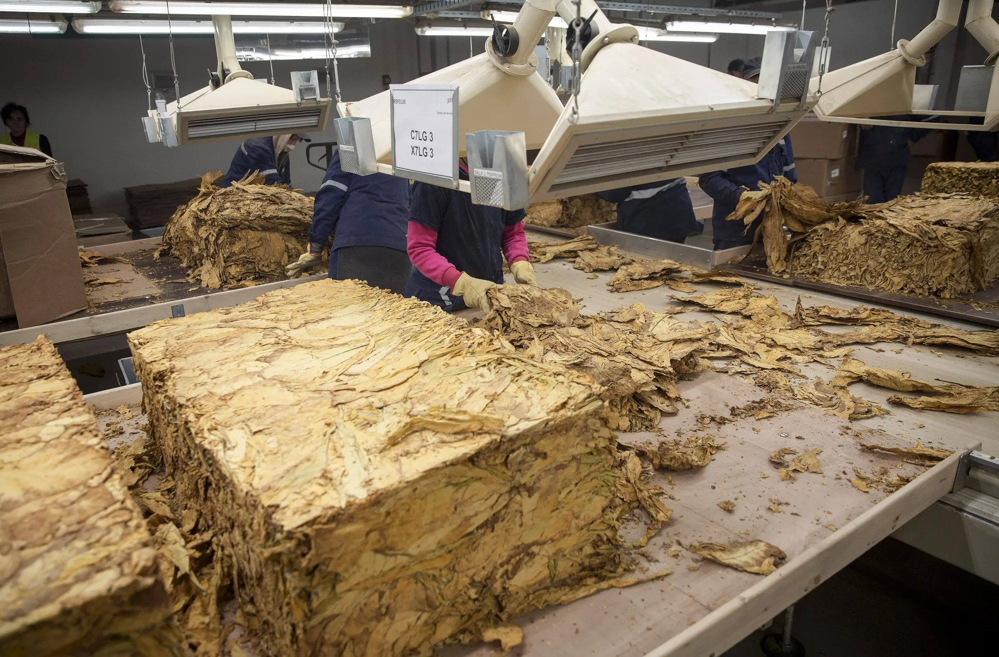 Compressed blocks of tobacco at the Japan Tobacco cigarette plant in Senta, Serbia.