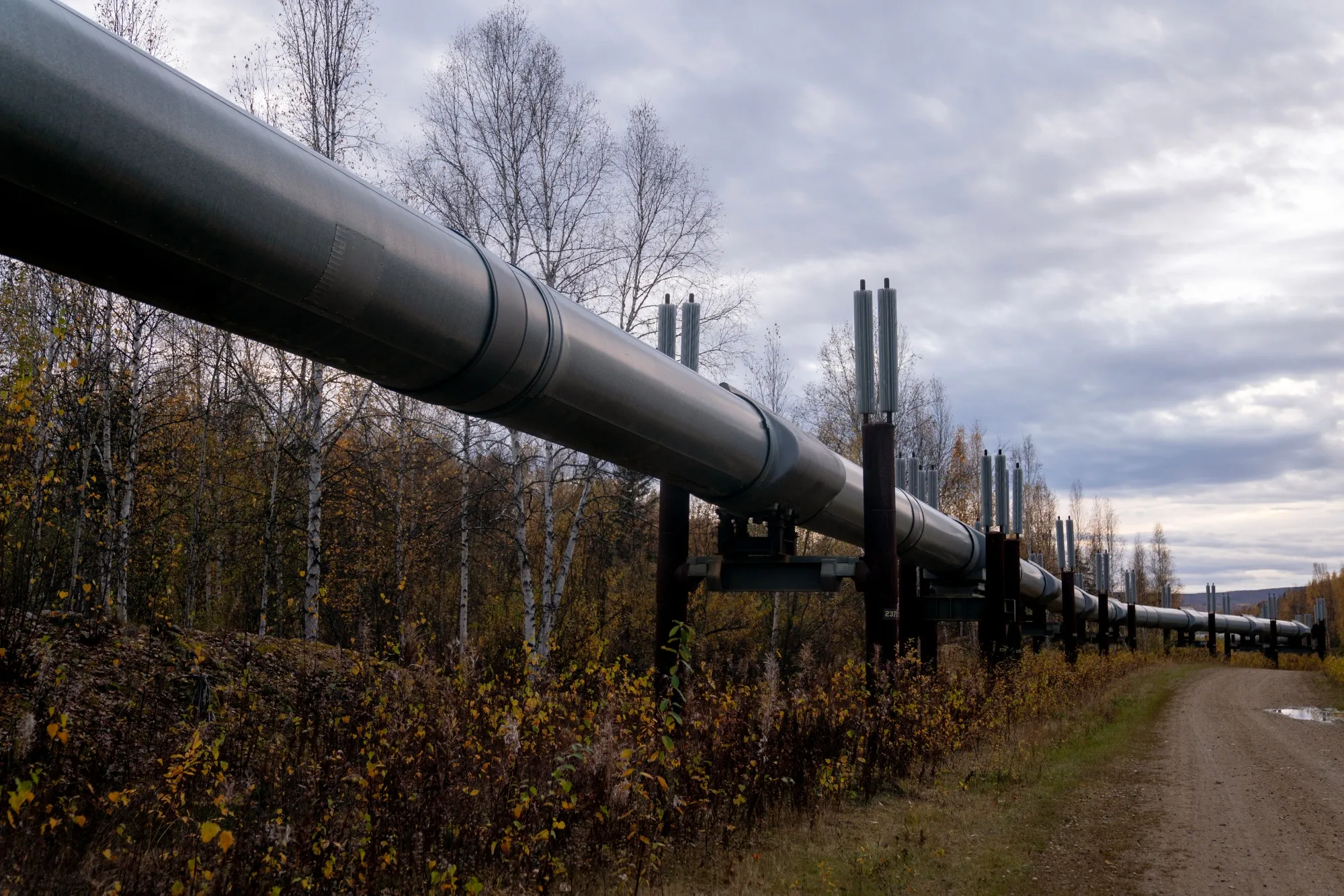 The Trans-Alaska Pipeline in Fairbanks, Alaska.