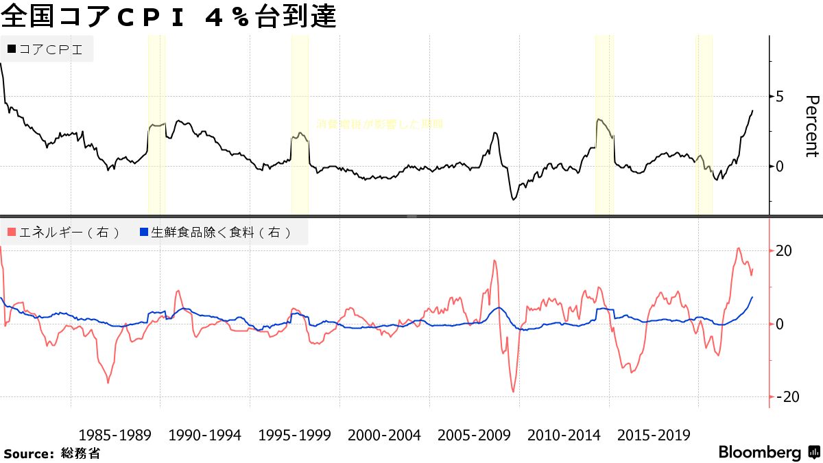 消費者物価が41年ぶり４％台、食料や電気・ガス代押し上げ－12月 - Bloomberg