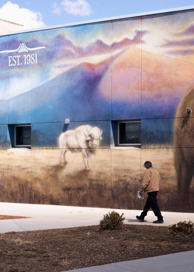 Buffalo mural on wall in Cibola