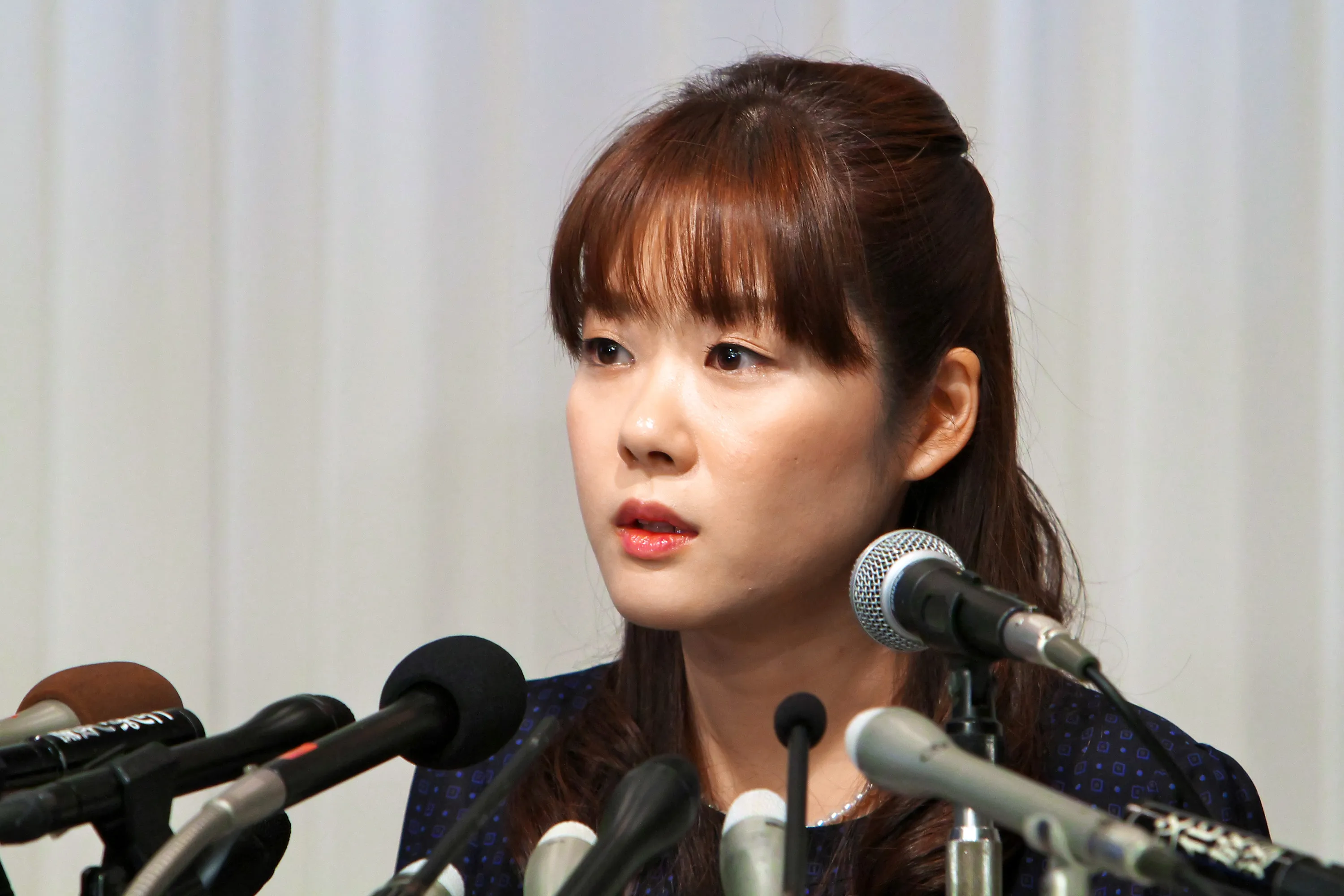 小保方 晴子 笹井 芳樹