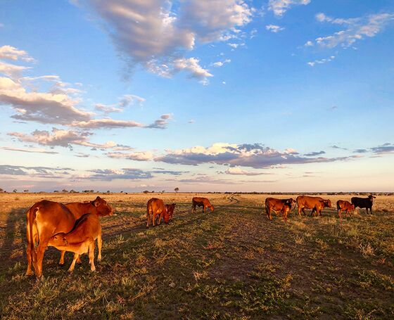 Farmers Take on ‘Post-Apocalyptic’ Food Crisis