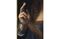 1510871559_leonardo-masters-01