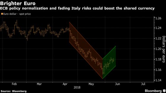 Euro Mauled by Political Risk Is Ready to Be Revived by Draghi