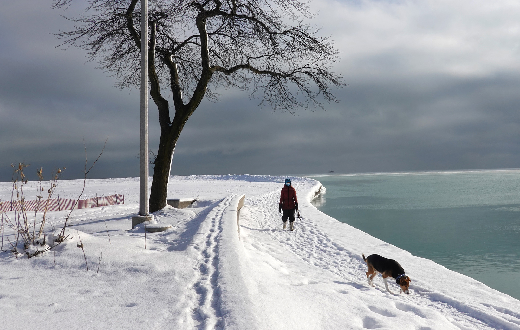  A person walks their dog along the snow-covered lakefront at North Avenue Beach as temperatures hung in the low teens in Chicago on Feb. 9. 