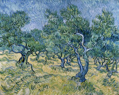 'Olive Grove'