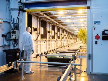 A worker stands outside a greenhouse in cannabis production facility in Fenwick, Ontario, Canada.