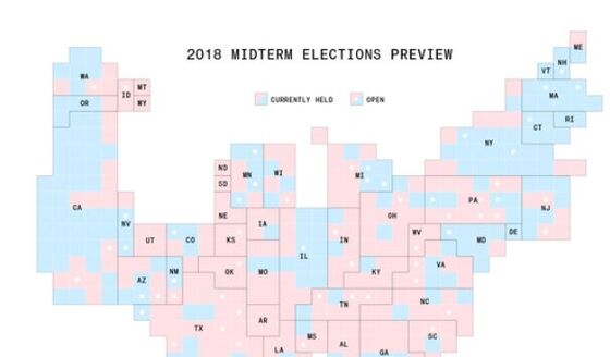 Midterm Reckoning on Trump Sets Stage for 2020