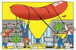 relates to Fighting Inflation at the Grocery Store, German Style