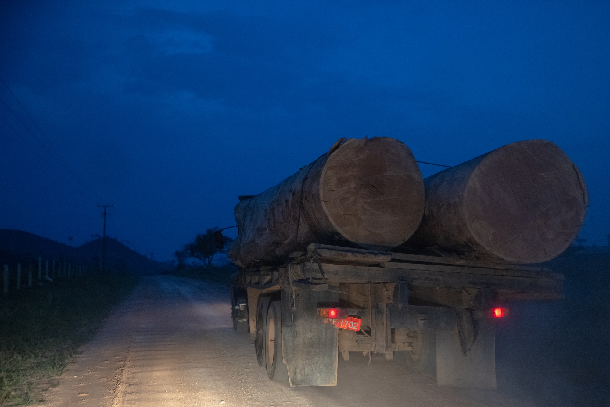 Rainforest Is Being Destroyed at Fastest Pace in 15 Years