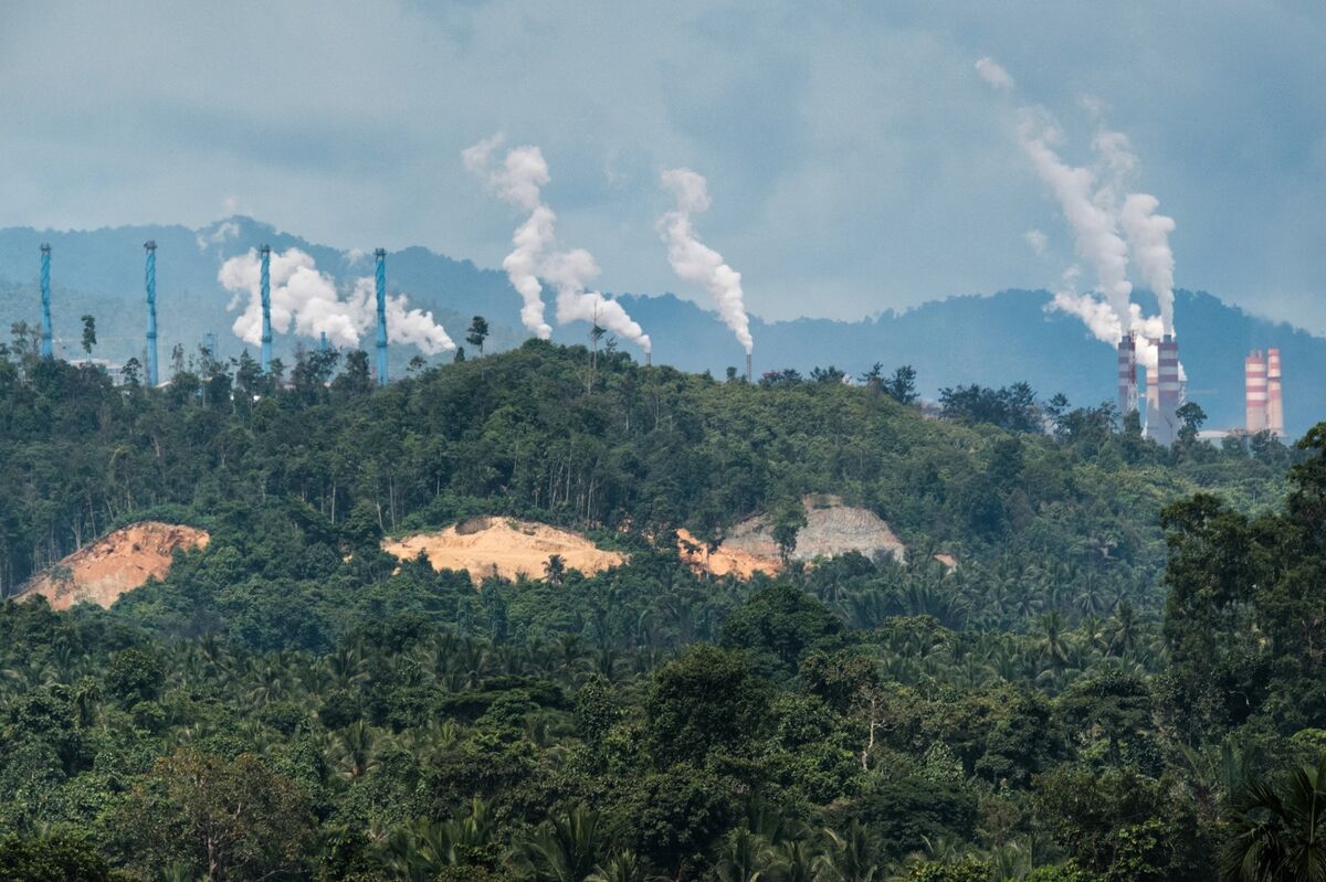 Nickel Gains After Indonesia Seizes Part of Giant Tsingshan Mine