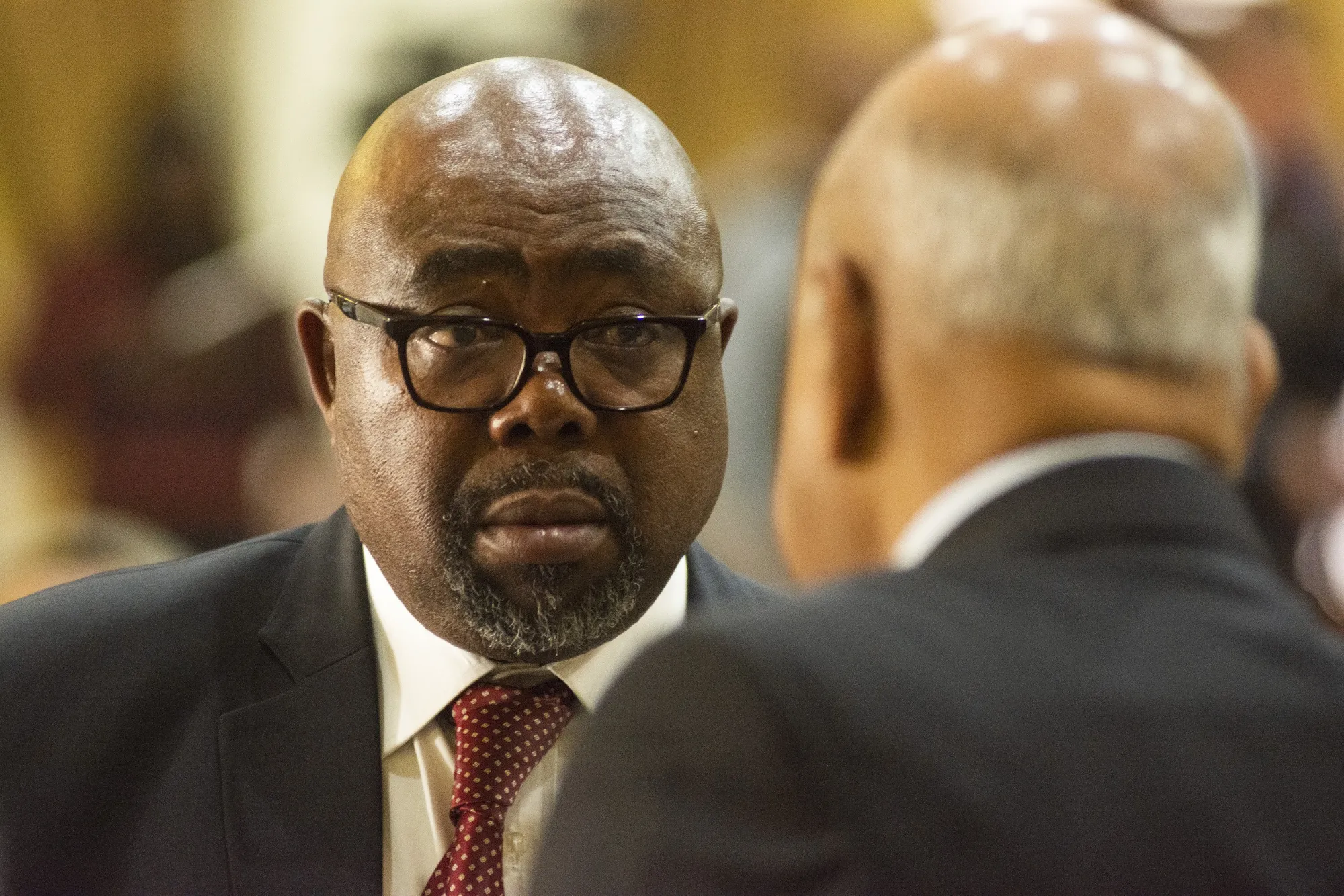 Thulas Nxesi
