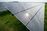 relates to ‘Avian Incident’ Knocks Out 84% of Massive California Solar Farm