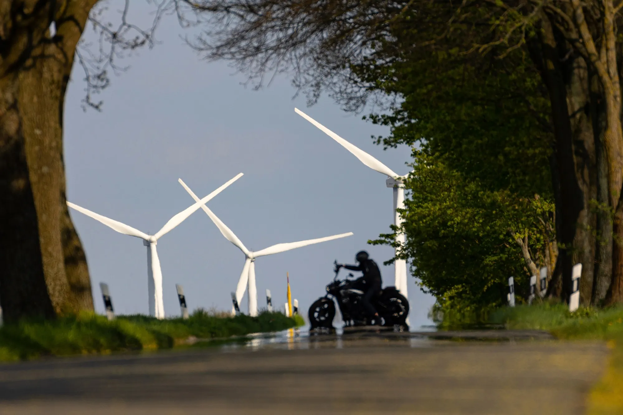 Wind turbines&nbsp;in Brandenburg, Germany.
