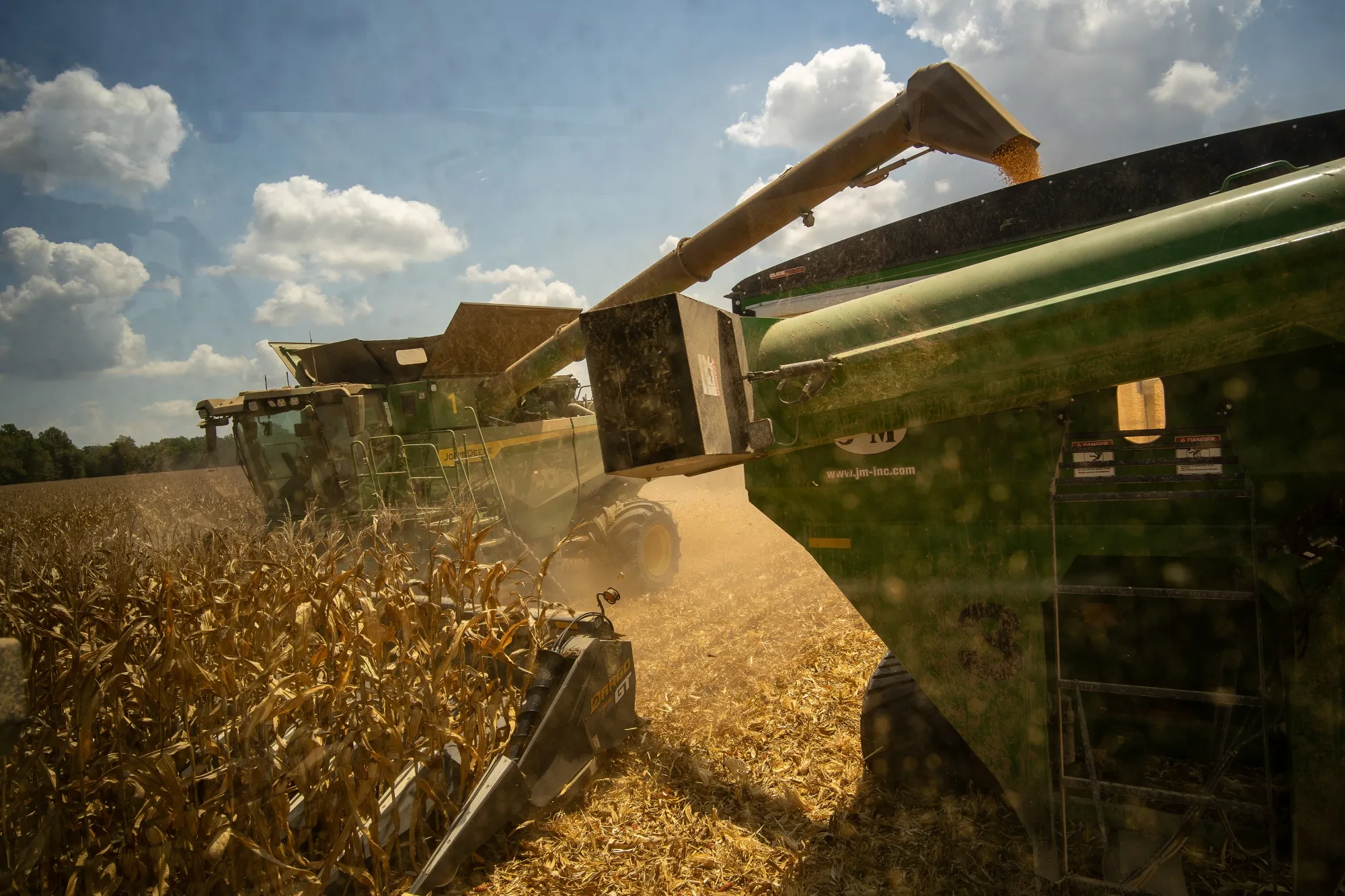 A combine harvester cuts rows of corn and transfers kernels to the hopper during a harvest&nbsp;in Dockery, Mississippi, in August.