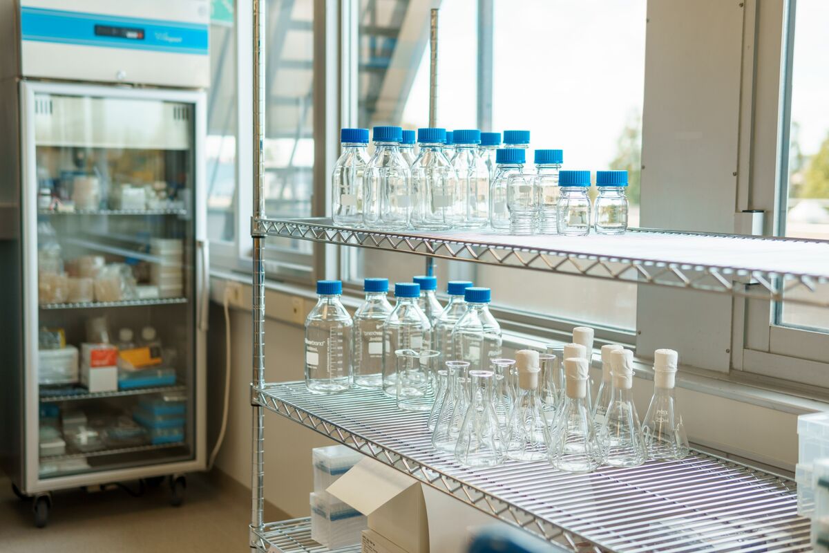 Google Alum’s AI Startup Raises $24 Million for Biotech Work