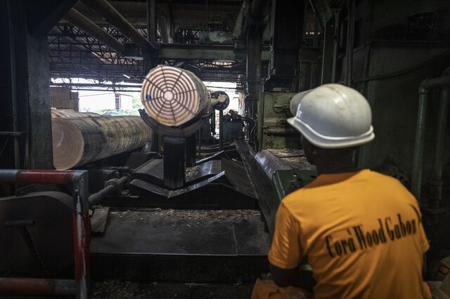 A worker operates a machine at a timber processing plant managed by African Equatorial Hardwoods (AEH) in Port-Gentil on October 14, 2022.