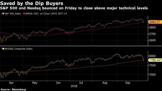 Record Losing Streak of 13 Days Deserves Attention: Taking Stock