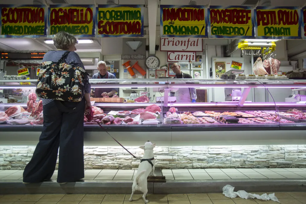 The dog gets whatever it wants.