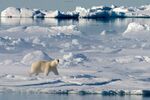 The Melting Arctic Makes Way for $20,000 Luxury Cruises