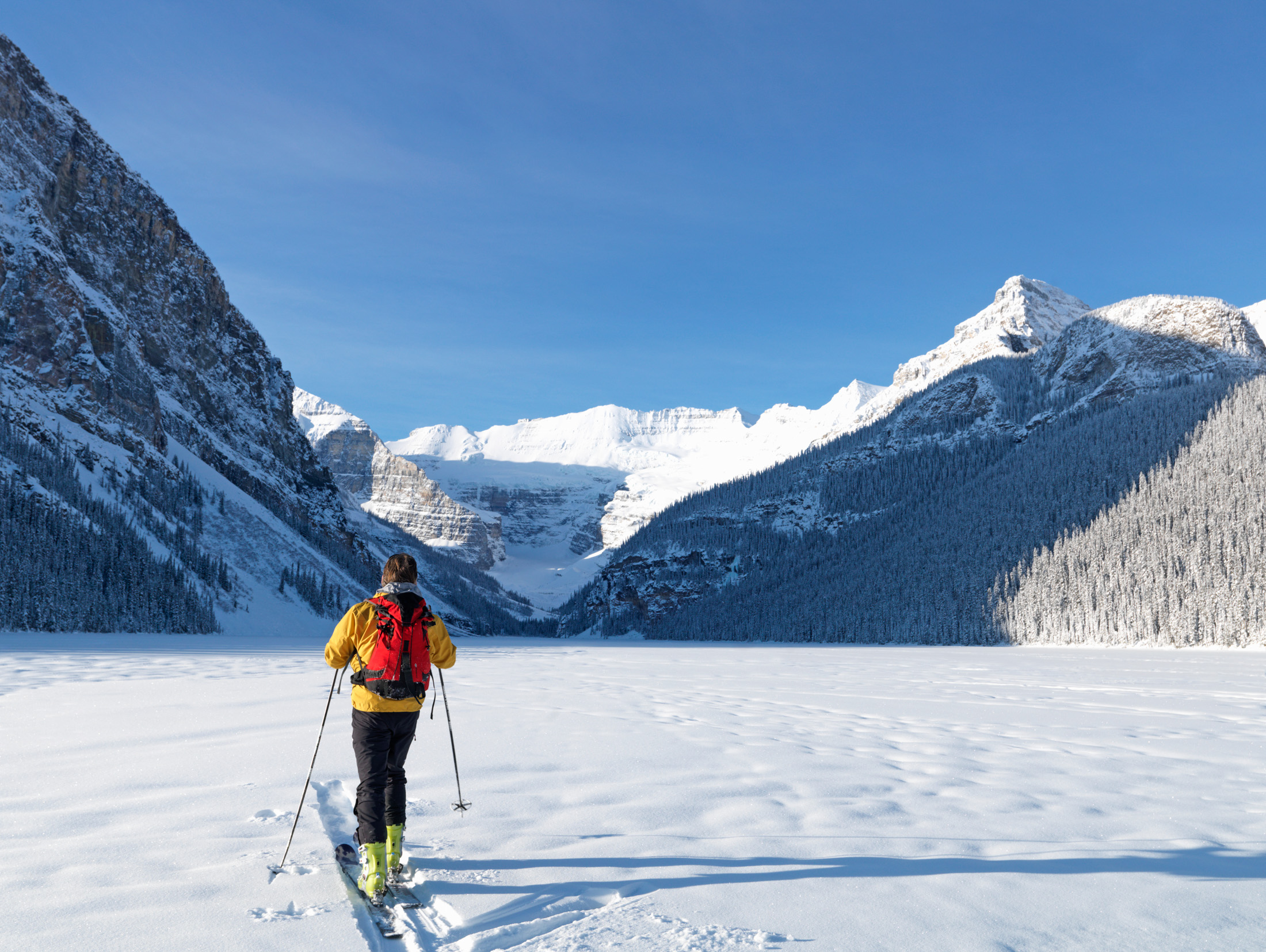 Le Canada, l'Alberta, le parc national Banff, l'homme skiant sur le lac Louise en direction du mont Temple et Lefroy