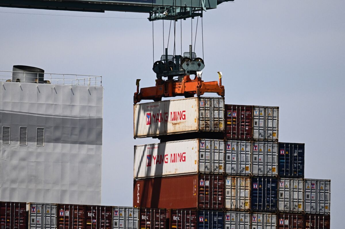 🟪"Catena Logistica Pronta per Affrontare un Aumento delle Spedizioni"