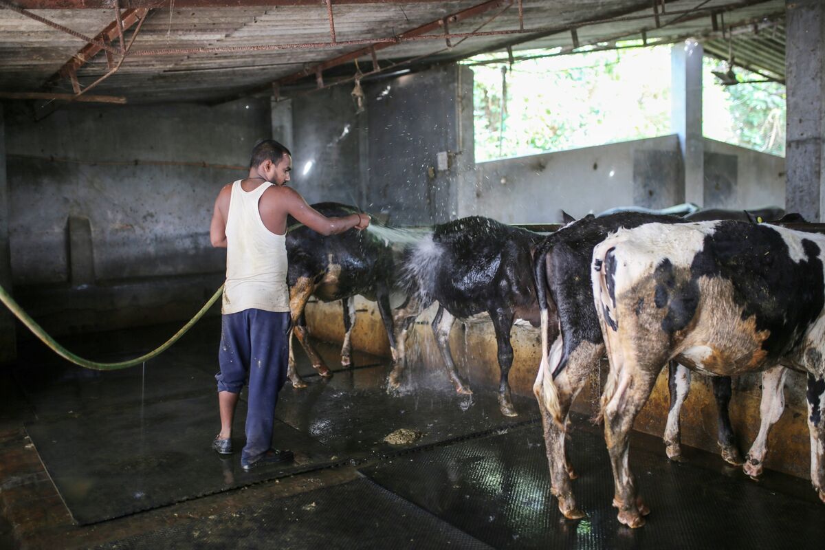 Heat Waves, Cyclones Are Impacting Stock Markets Across Asia