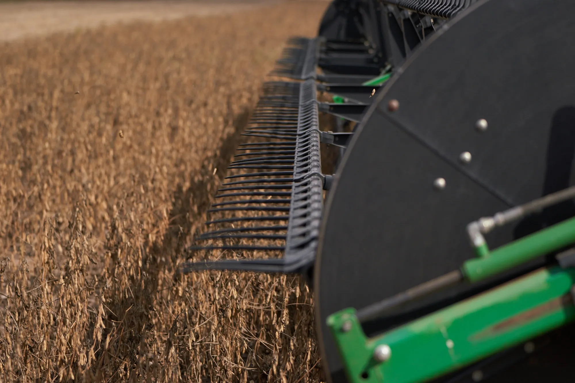 Milei Tax Cut on Crops Lures Quick $7 Billion Into Argentina - Bloomberg