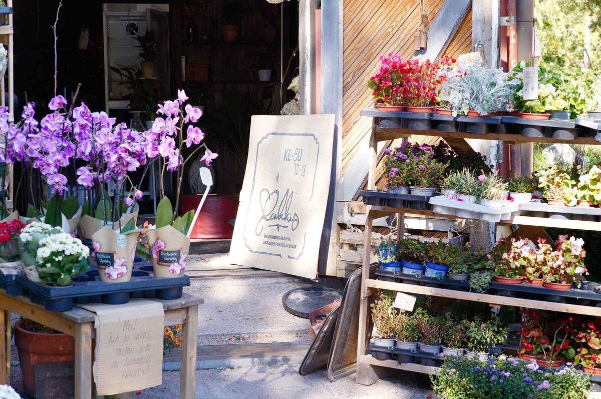 Flower Shop in Finland Sells Spare Plants to Fight Waste Bloomberg