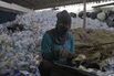 Thailand Is Tired of the Noxious Fumes From Recycling Your Trash